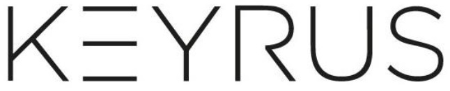 logo de l'entreprise Keyrus